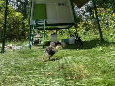 Omg! so in love with this!