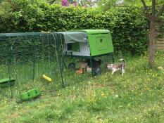 Wie erwartet bestens