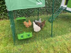 Beautiful chicken coop with run