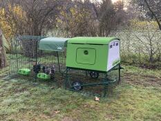 A well designed and durable chicken coop 
