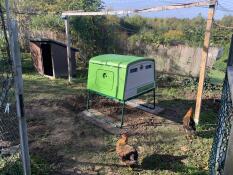 Super chicken coop