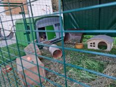 Eglu Cube for guinea pigs 