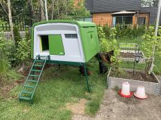 Great house for garden chicks!