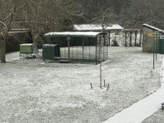 All that's missing are the chickens 