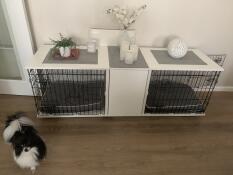 To hundekasser, der er forbundet med et hvidt træklædeskab i midten