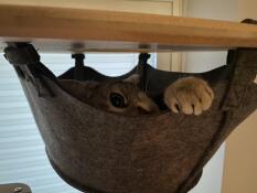 A cat hiding in the hammock of his indoor cat tree