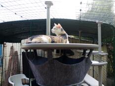 Goede maat, stabiele houvast