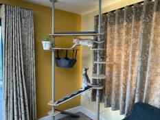 An indoor cat tree with several steps in a room
