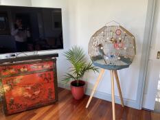 La meilleure cage à oiseaux d'intérieur que j'ai eue