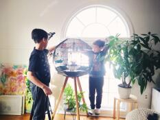 Smukt og unikt fuglebur 