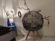 S'il te plaît, pense à des barres en bois naturel 