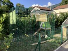 Omlet verde Eglu Cube grande pollaio in Omlet passeggiata in pista di pollo in giardino