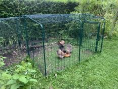 Good quality. nice in our town garden. 