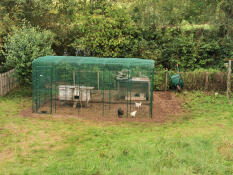 Meine hühner endlich in sicherheit 