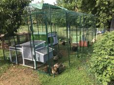 The best of the best