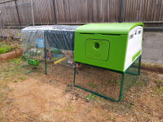 Omlet groen Eglu Cube groot kippenhok en ren met deksels