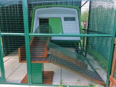 The top this Eglu Cube