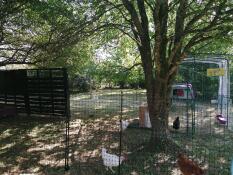 A house that was quickly adopted 