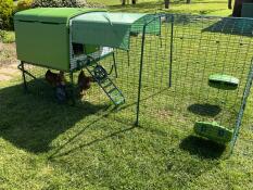 5* hotel for cc and lolo 