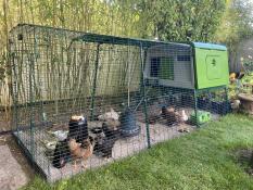 To buy it is to adopt it 