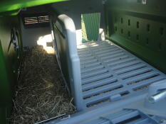 Binnen Omlet Eglu Cube groot kippenhok