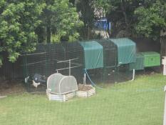 Delighted chicken coop brisbane australia