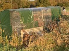 First impression: great!