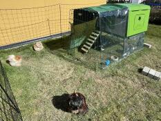 At Omlet everything simply fits 