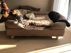 A dog resting on his brown bolster bed