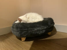 Xena snuggling in her Maya cat bed earl grey