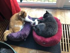 Fine basket used Goed.