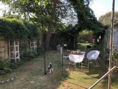 Fantastisk valpkammare