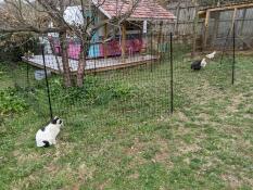 Easy to set up and give your birds more space