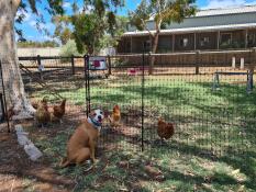 Die installation war sehr einfach