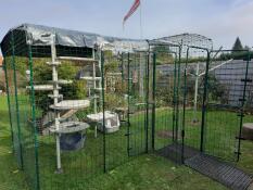 Romping fun in the open air