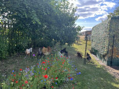 Un grand plus pour notre wir