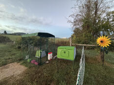 Liefde liefde liefde