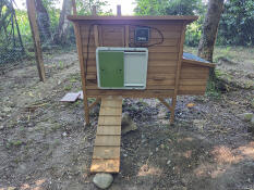 Automatische kippenhokdeur