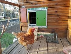 Très très bon produit!