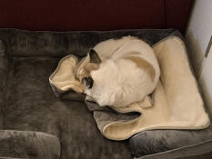 So cosy and soft 
