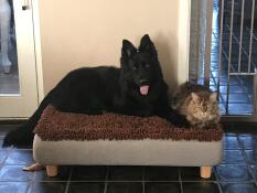 Ausgezeichnete qualität 