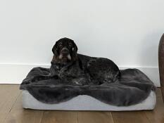 Very happy with this purchase 