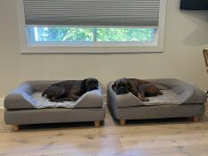 Loved it so much we had to buy a second one!