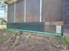 Cat tunnel for chickens 