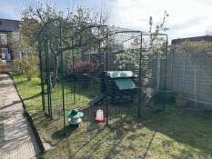 Perfekter hühnerauslauf