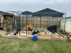 Amazing service from ordering to delivery 