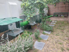 Rabbit run with Zippitunnels