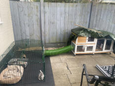 Løb og tunnel i God kvalitet 