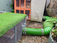 From the shed to the hutch and then beyond.  12 metres of fun for our family of 5 rescue rabbits 