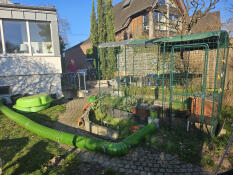 für alle Schweichen toll